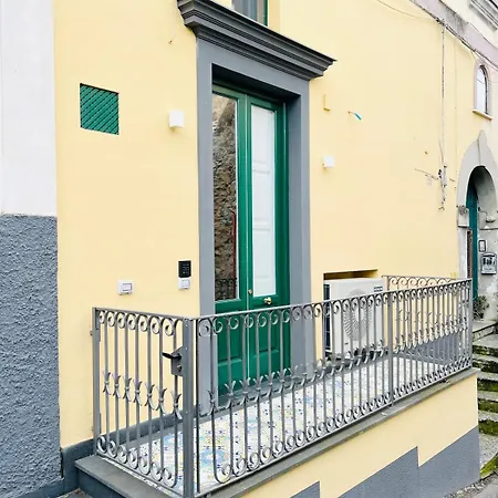 Snail - Weekly Use *