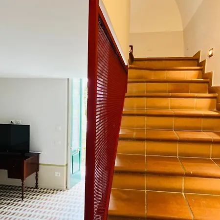 Snail - Weekly Use Vico Equense